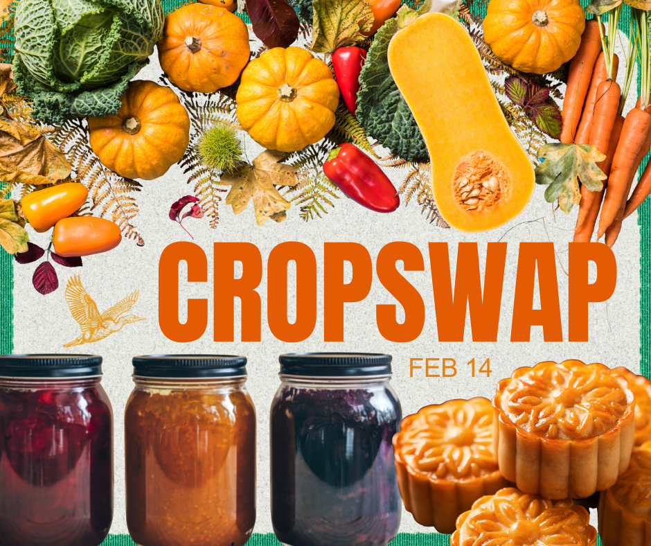Island Bay Festival Crop Swap